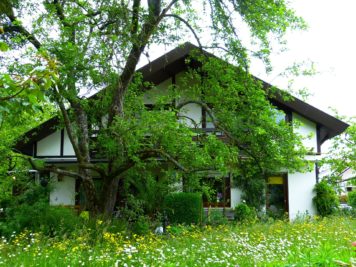 Est-ce que je peux planter n’importe quelle sorte d’arbre sur mon terrain?