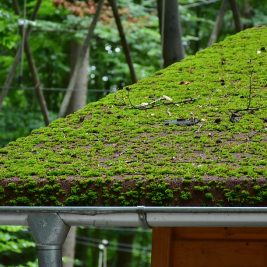 Faire appel à un couvreur pour les travaux de gouttière