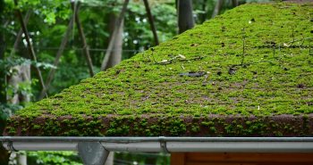 Faire appel à un couvreur pour les travaux de gouttière