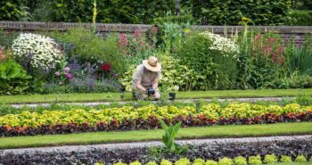 Pourquoi faire appel à un jardinier pour entretenir votre jardin
