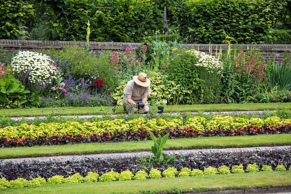 Pourquoi faire appel à un jardinier pour entretenir votre jardin