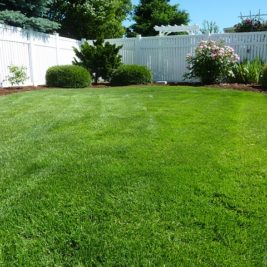 Ce que vous deviez savoir concernant l’entretien du jardin